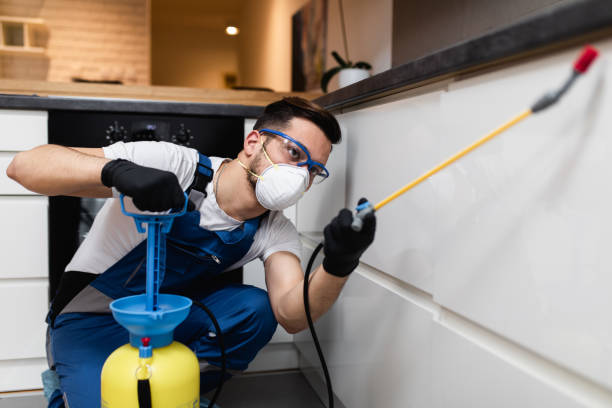 Best Flea Control Services  in Brighton, CO