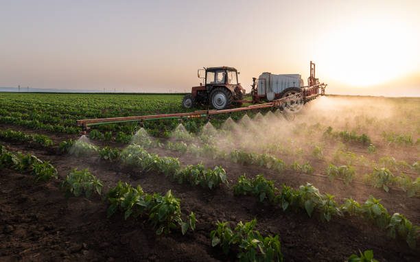 Reliable Brighton, CO Pest Control Solutions