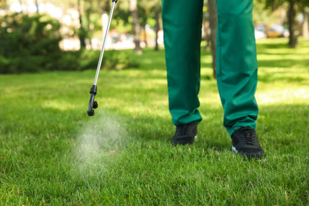 Best Bed Bug Extermination  in Brighton, CO