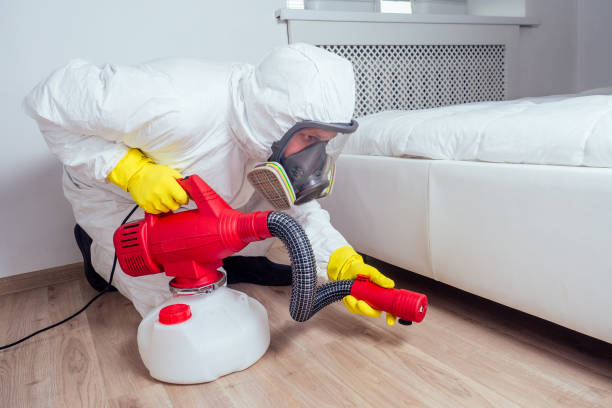 Best Affordable Pest Control Services  in Brighton, CO