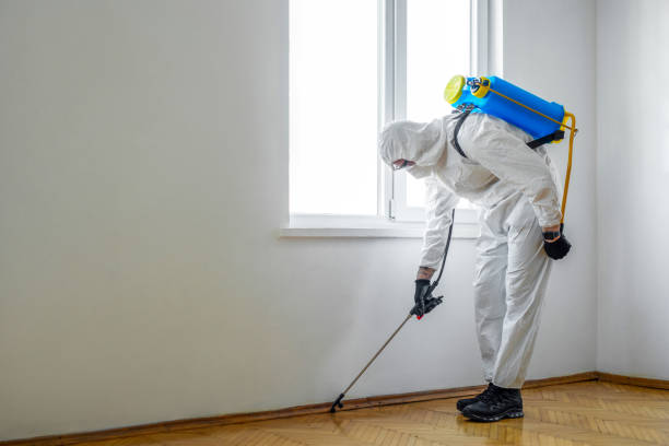 Best Insect Control  in Brighton, CO