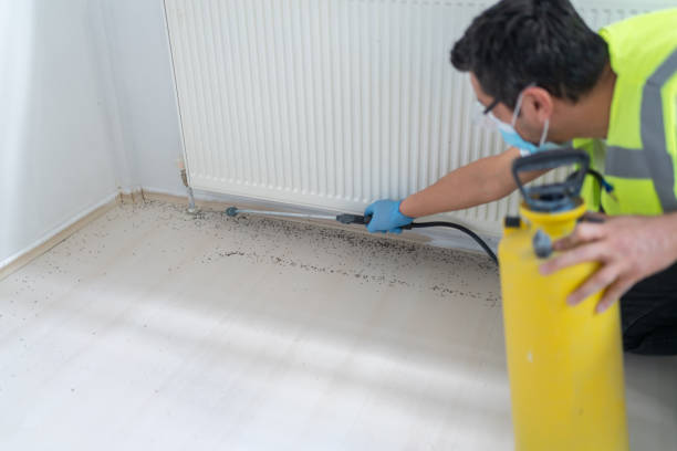 Best Pest Prevention Services  in Brighton, CO